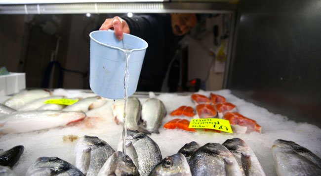 Tezgahlarda Balık Fiyatları Ucuzladı